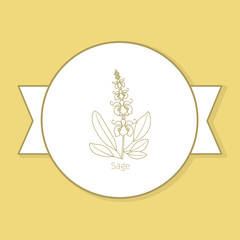 Sage medicine plant, yellow label design in circle shape and flat shadow. Vector illustration