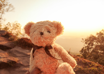 Bear toy with sunset sky background