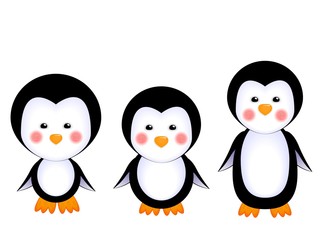 cute penguins baby