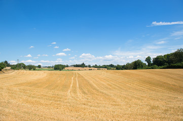 Fototapeta na wymiar Agriculture landscape in France