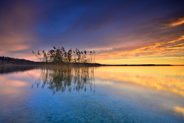 Obraz na płótnie Canvas Stiller See bei Sonnenaufgang, Blick durchs klare Wasser auf den Grund des Sees, Schilf spiegelt sich