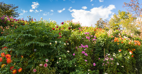 The Botanic Gardens of Trauttmansdorff Castle, Merano, Italy, offer many attractions with botanical species and varieties of plants from all over the world