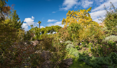 The Botanic Gardens of Trauttmansdorff Castle, Merano, Italy, offer many attractions with botanical species and varieties of plants from all over the world