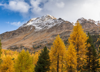 view Martello Valley, Trentino Alto Adige, Italy