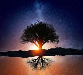 Foto auf Acrylglas Bäume Sternennacht und Baum. Gemischte Medien