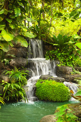 Fototapety  Wodospad w tropikalnym ogrodzie