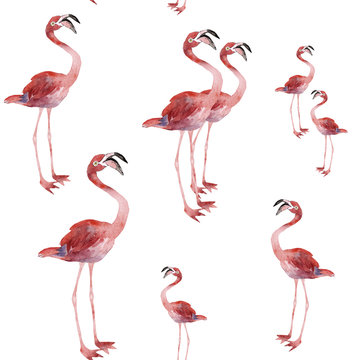 Seamless pattern of flamingo on a white background, watercolor