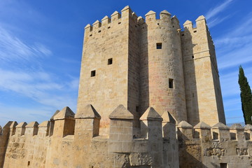 Fototapeta na wymiar Torre de la Calahorra in Cordoba