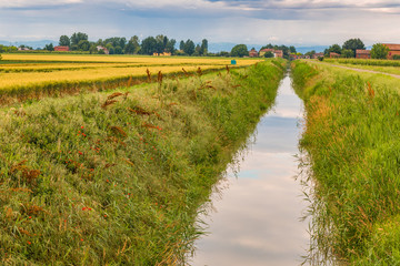 Fototapeta premium fields in countryside