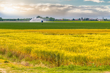 high pressure irrigation