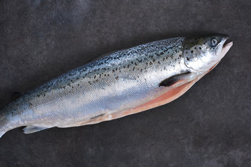 Fresh raw salmon on a black background. Top view.