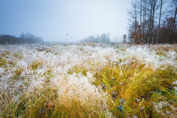 Frosty morning landscape and raised hide
