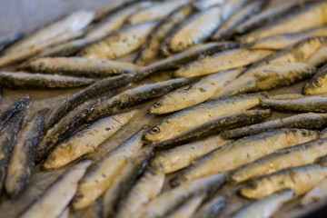 Fresh sardine seafood