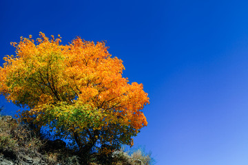 Fototapeta premium 318 national highway landscape