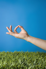 손 동작 이미지