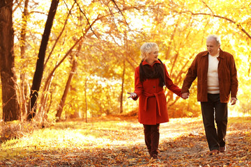 Fototapeta premium Lovely mature couple in autumn park