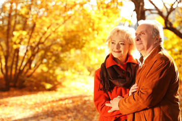 Fototapeta premium Lovely mature couple in autumn park