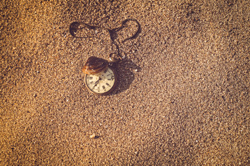 Still life - Antique rotten pocket watch and sea shell buried pa