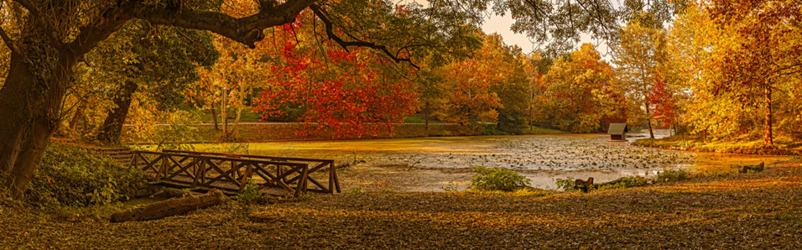 Fototapeta Autumn scene at the lake in park. Lipnik (Teketo) park, Nikolovo village area, Ruse district, Bulgaria, 7frame.