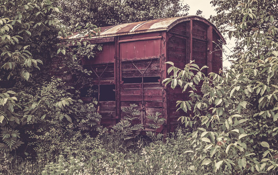 Old railway wagon derelict captured by nature