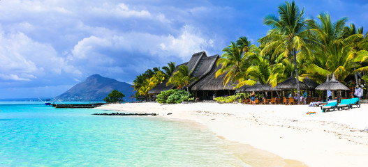 amazing white beaches of Mauritius island. Tropical vacation - obrazy, fototapety, plakaty