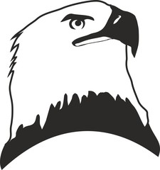 bald eagle, sketch, logo, animals, birds, black and white, coat of arms