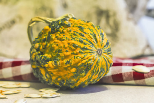 Small decorative pumpkins on the kitchen table