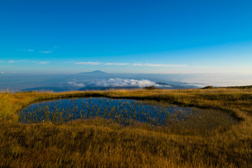 月山弥陀ヶ原 の沼と鳥海山