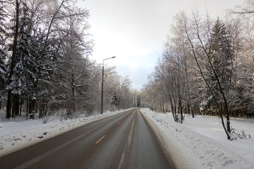 Fototapeta na wymiar The road through the winter forest