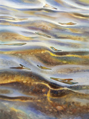 warm water watercolor