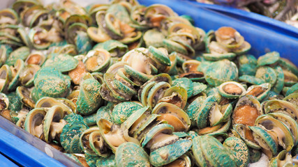 Abalone