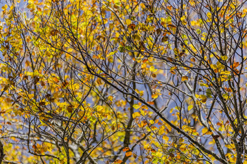 E'soltanto un arrivederci