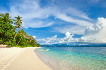 tropical beach with palm and turquoise sea