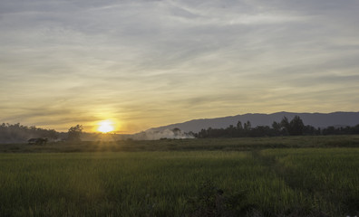 Obraz premium View of fields in rural Thailand and sunset