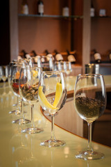 Wine degustation setting, winery in Casablanca, Chile