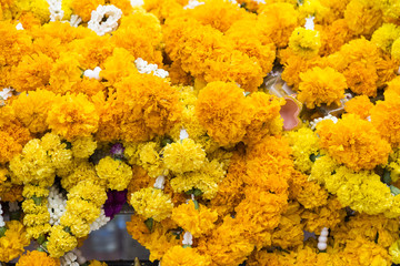 background of yellow flowers hanging at the spirite house in ban