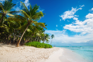 beach on Saona Island in the Caribbean