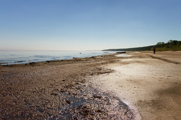 Coastline of the sea.