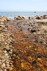 Small streem and sea.