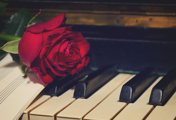 red rose with notes paper on vintage piano close up, retro toned