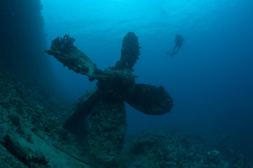 Fototapeta na wymiar sunken ship wreck underwater diving Sudan Red Sea