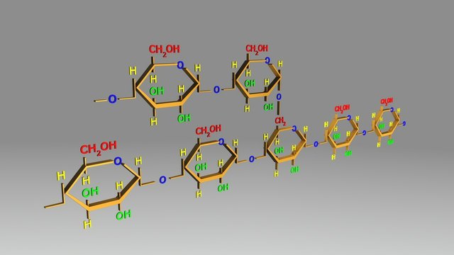 Amylopectin structure