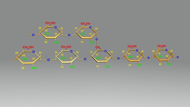 Amylopectin Structure