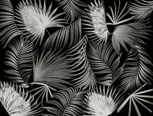 Naklejka premium leaves of palm tree background