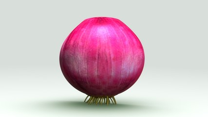 Onion