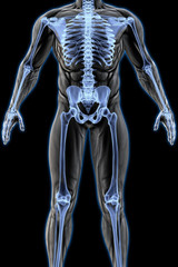 man's body under X-rays. 3D illustration.