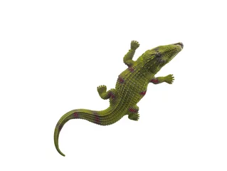 Zelfklevend Fotobehang Krokodil krokodil speelgoed