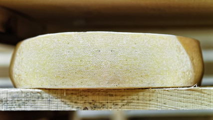 Aging Comte Cheese at maturing cellar in Franche Comte dairy