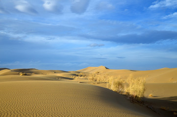 Fototapeta na wymiar desert landscape under dramatic sky