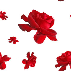 seamless pattern repeat  red rose